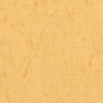 TH_LINO_Veneto-XF_612
