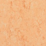 TH_LINO_Veneto-XF_615