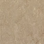 TH_LINO_Veneto-XF_625