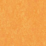 TH_LINO_Veneto-XF_628
