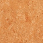 TH_LINO_Veneto-XF_634