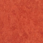 TH_LINO_Veneto-XF_641