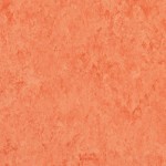 TH_LINO_Veneto-XF_642