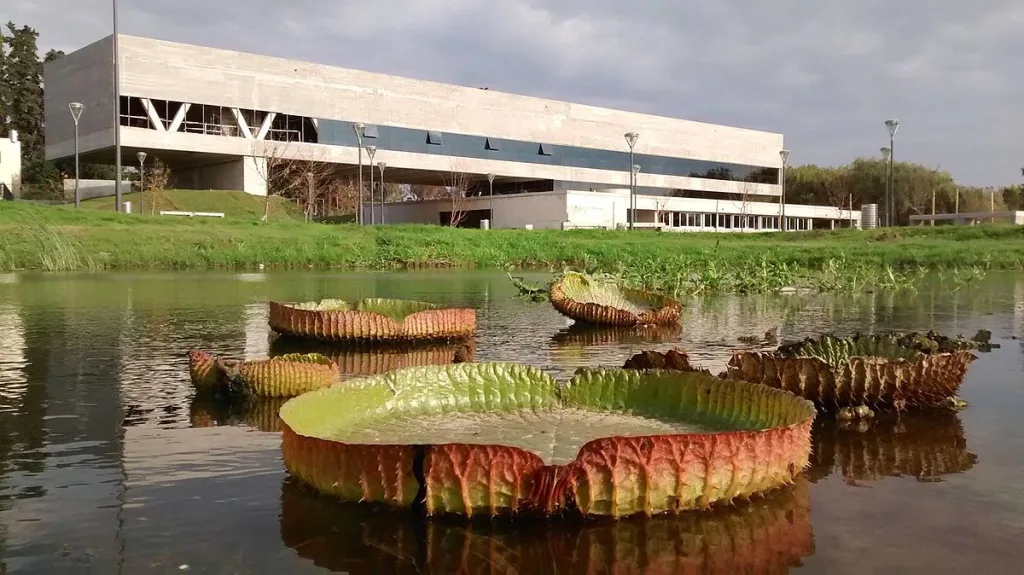 01 acuario rosario - Grupo Cosmos